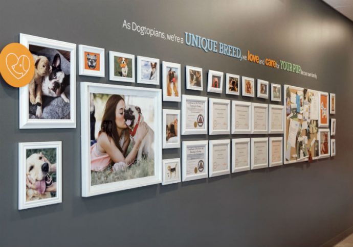 Certificates and dog pictures hanging on the wall at Dogtopia of Union.